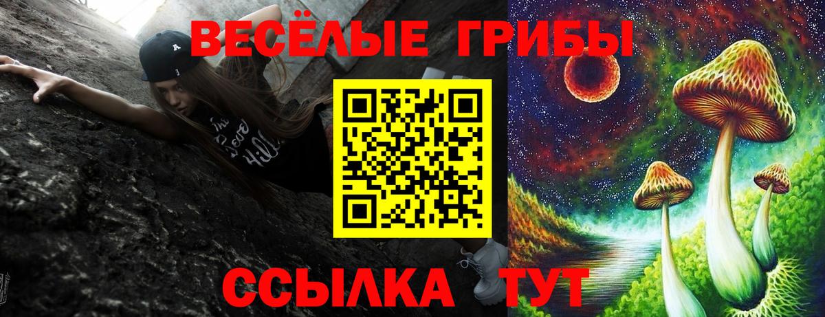 Галлюциногенные грибы мухоморы Гусев